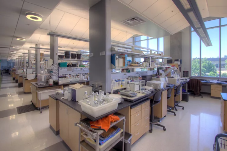 Interior daylight view of a lab inside Washington State University’s Biotechnology and Life Sciences facility with nine rows of workstations for research, overhead lighting, and a full-length window with campus views