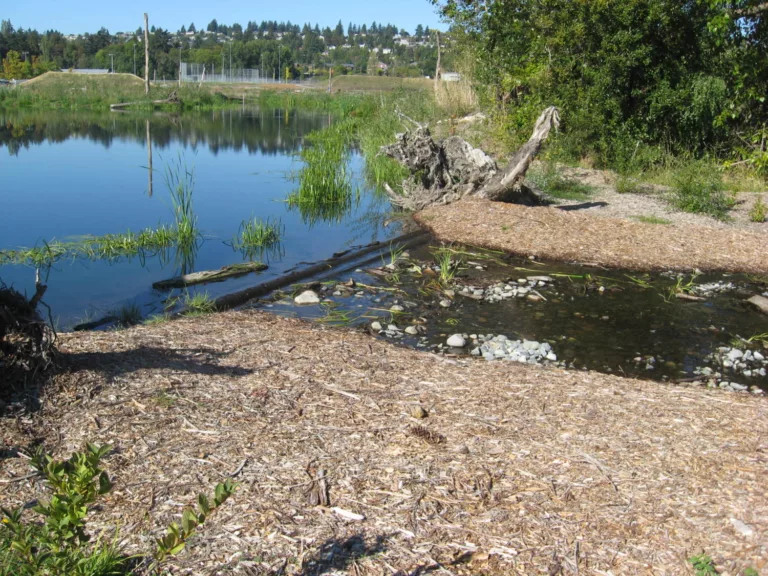 Magnuson Park Wetlands and Athletic Fields
