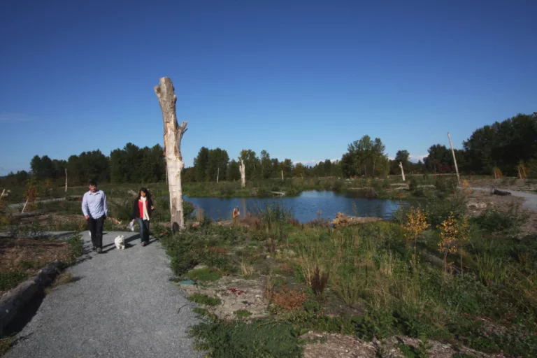 Magnuson Park Wetlands and Athletic Fields