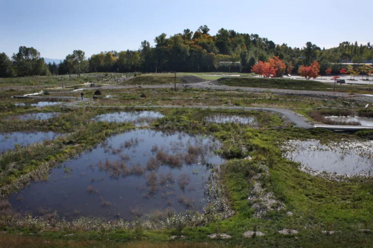 Magnuson Park Wetlands and Athletic Fields