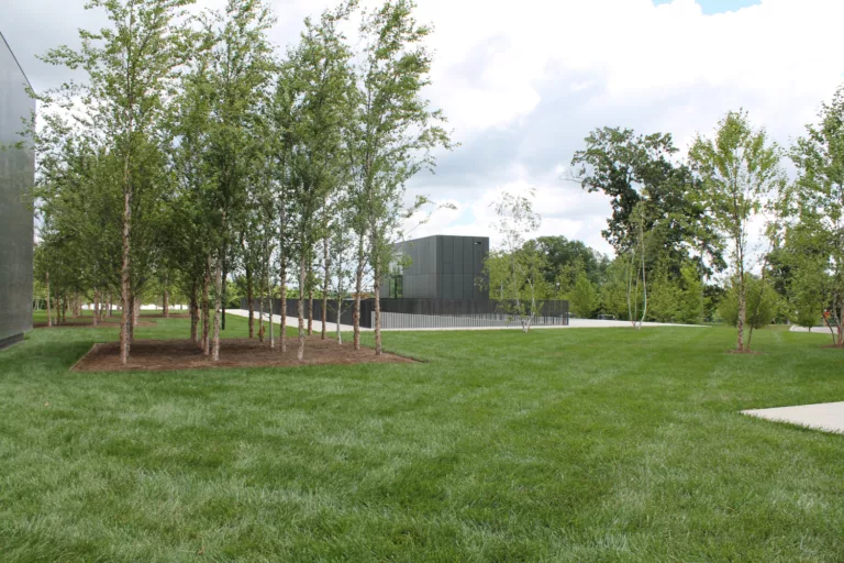 Image of St. Louis Art Museum Renovation and Expansion