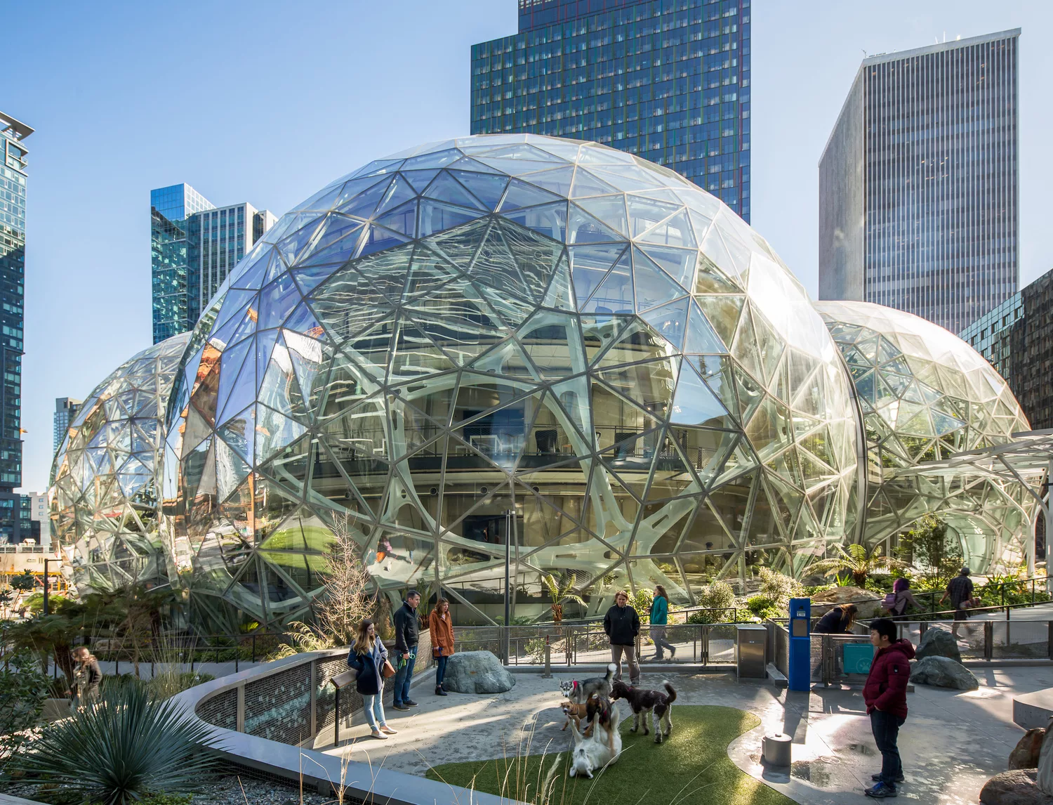 A daylight exterior view of the glass-and-steel Amazon Spheres with an adjacent dog park and surrounding downtown buildings