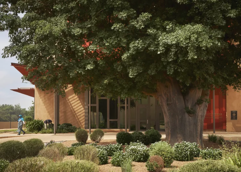 Exterior daylight view of the landscaped entrance to the U.S. embassy in Niamey with a large tree in front and one person leaving the building