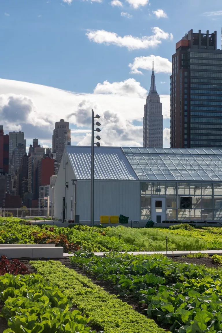 Image of Javits Convention Center Expansion