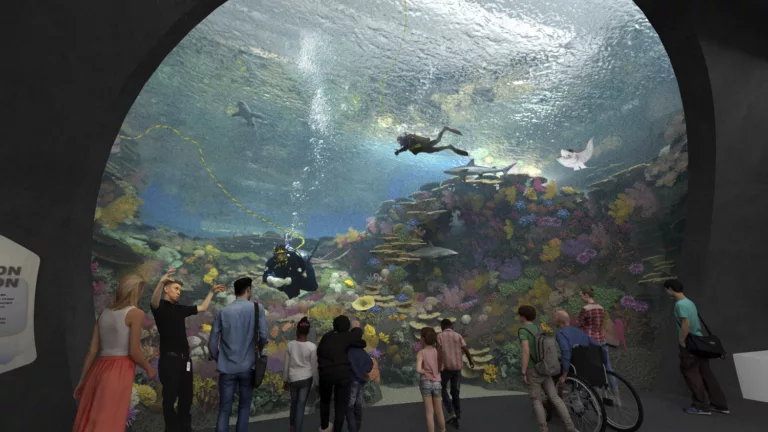 Interior view of Seattle Aquarium Ocean Pavilion visitors peering into The Reef exhibit featuring SCUBA divers surrounded by sharks, fish, rays, and coral