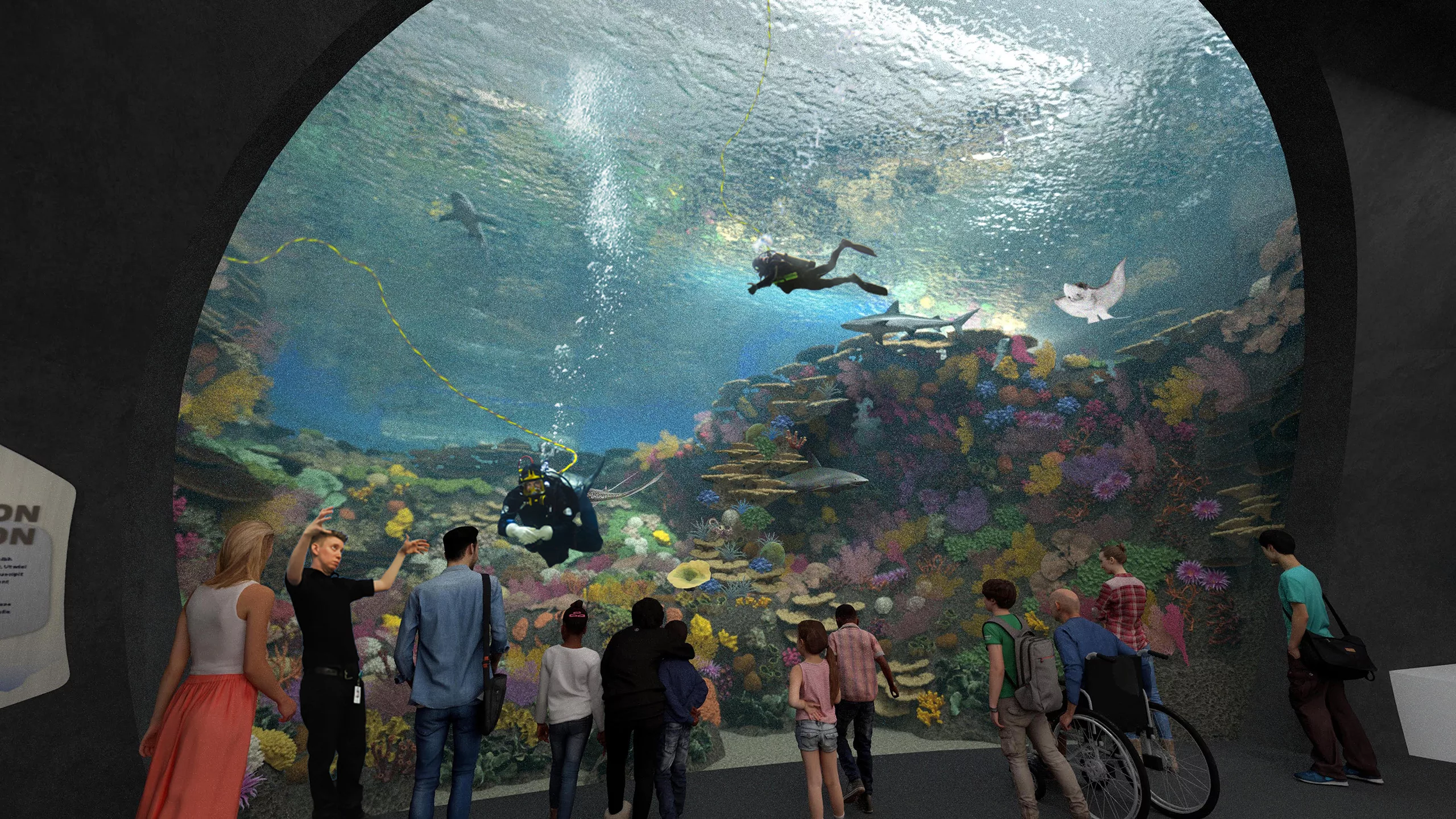 Interior view of Seattle Aquarium Ocean Pavilion visitors peering into The Reef exhibit featuring SCUBA divers surrounded by sharks, fish, rays, and coral