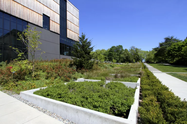 Image of University of Washington New Burke Museum