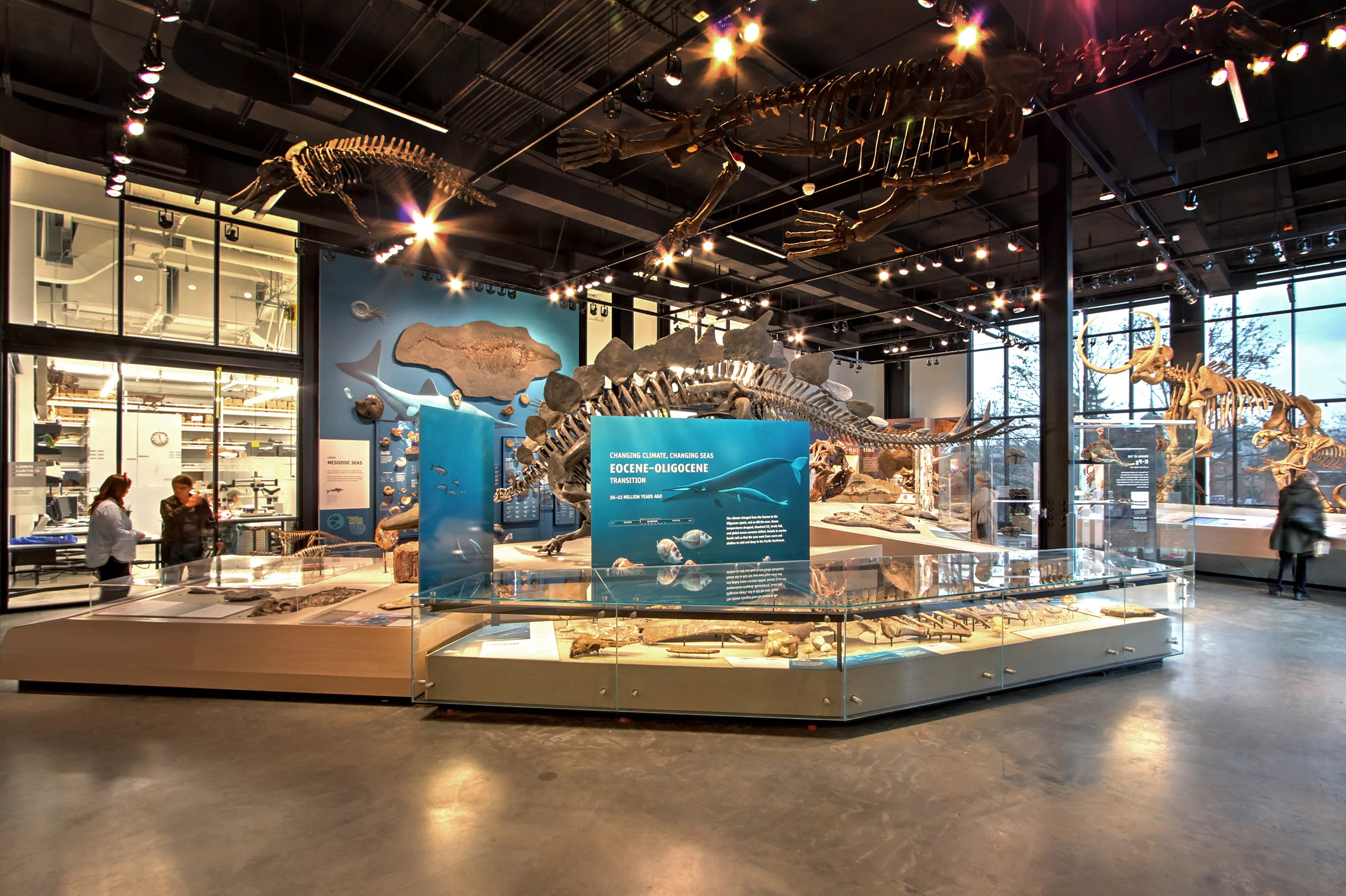 Interior view of the new Burke Museum at the University of Washington, with skeletal displays of prehistoric creatures
